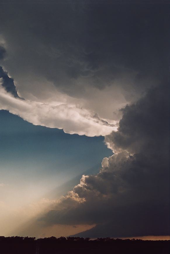 anvil thunderstorm_anvils : near Newcastle, Texas, USA   12 June 2003