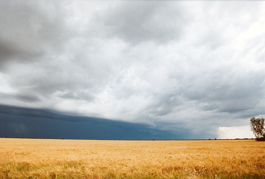 shelfcloud shelf_cloud : Moree, NSW   2 October 2003