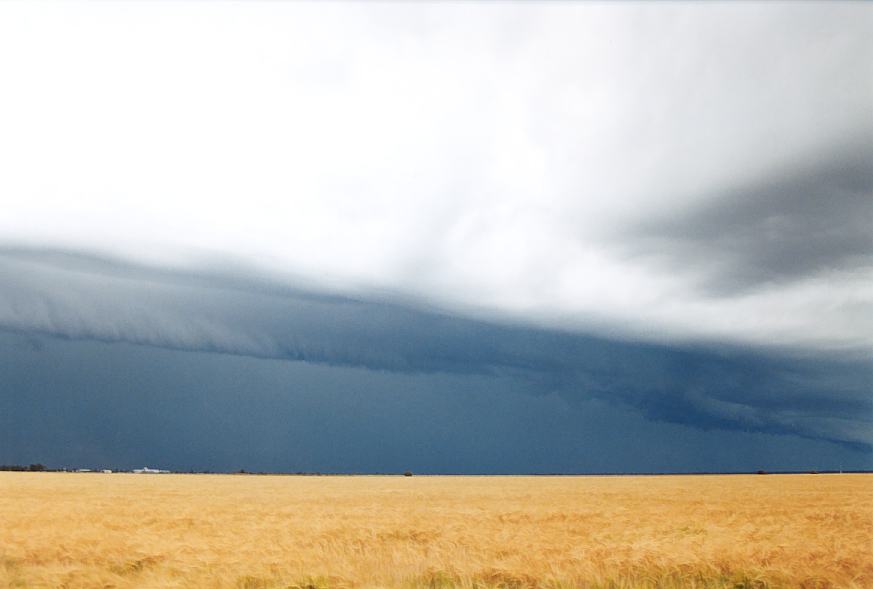 cumulonimbus thunderstorm_base : Moree, NSW   2 October 2003