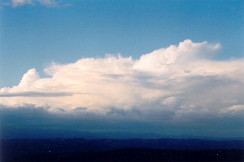 thunderstorm cumulonimbus_calvus : McLeans Ridges, NSW   3 October 2003