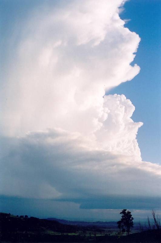 updraft thunderstorm_updrafts : Meerschaum, NSW   20 October 2003