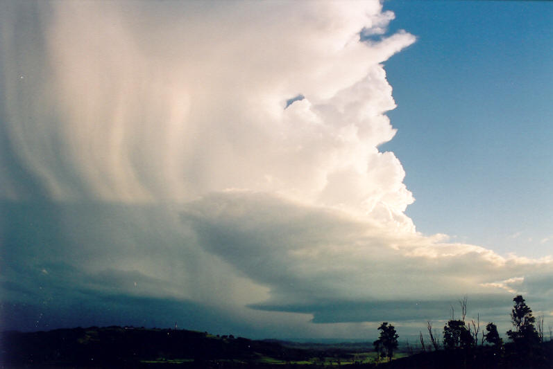 cumulonimbus supercell_thunderstorm : Meerschaum, NSW   20 October 2003