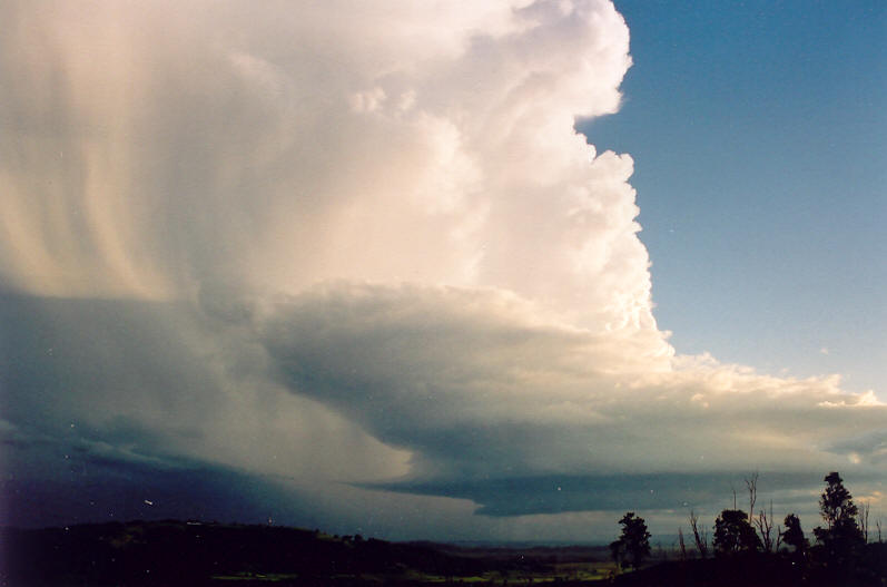 cumulonimbus supercell_thunderstorm : Meerschaum, NSW   20 October 2003