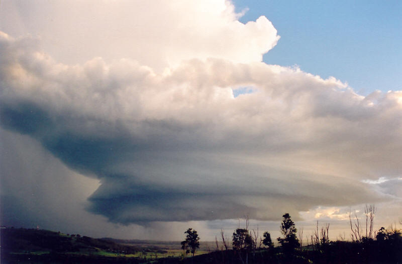 cumulonimbus supercell_thunderstorm : Meerschaum, NSW   20 October 2003