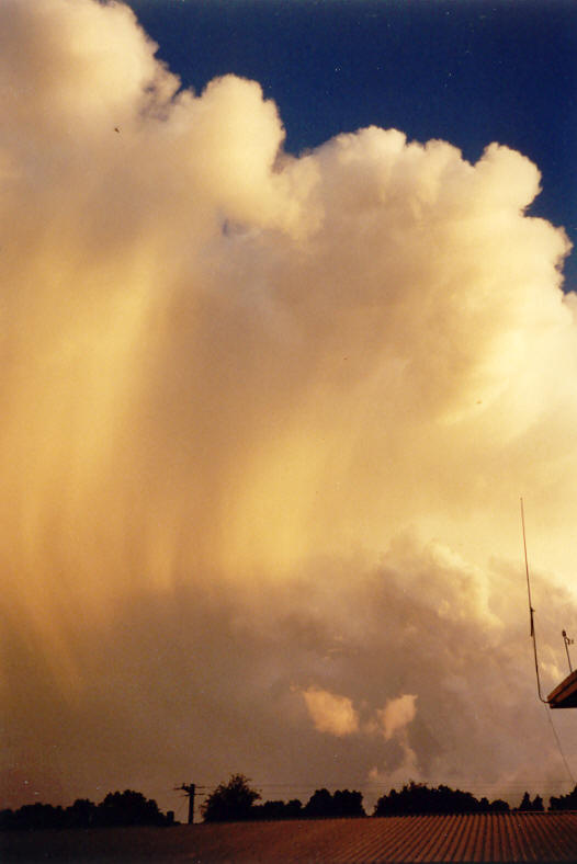 anvil thunderstorm_anvils : McLeans Ridges, NSW   20 October 2003