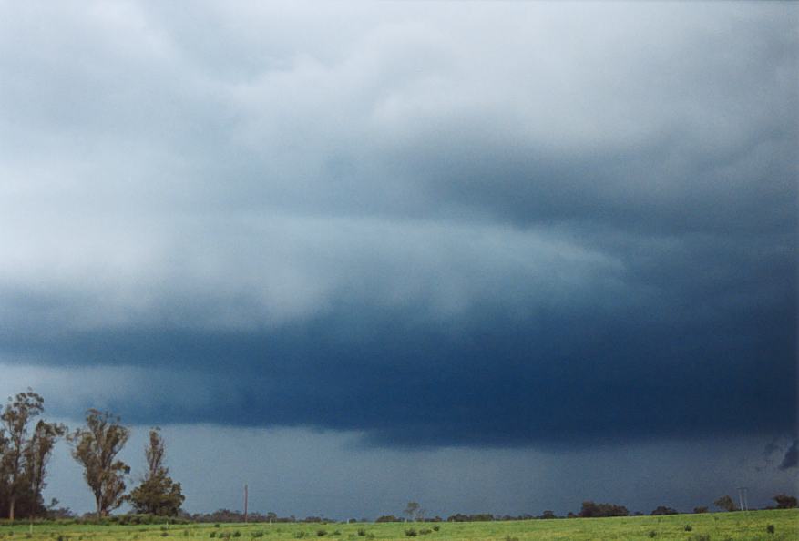 cumulonimbus supercell_thunderstorm : Richmond, NSW   25 October 2003