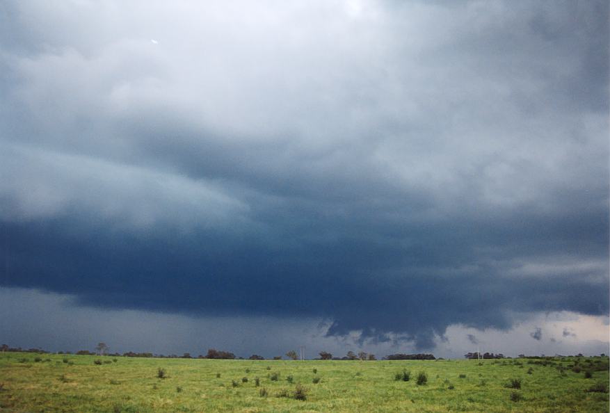 cumulonimbus supercell_thunderstorm : Richmond, NSW   25 October 2003