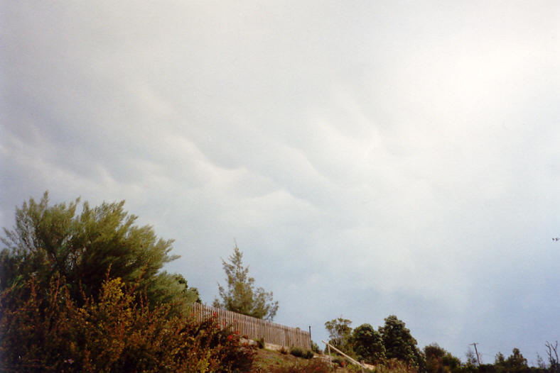 mammatus mammatus_cloud : McLeans Ridges, NSW   25 October 2003