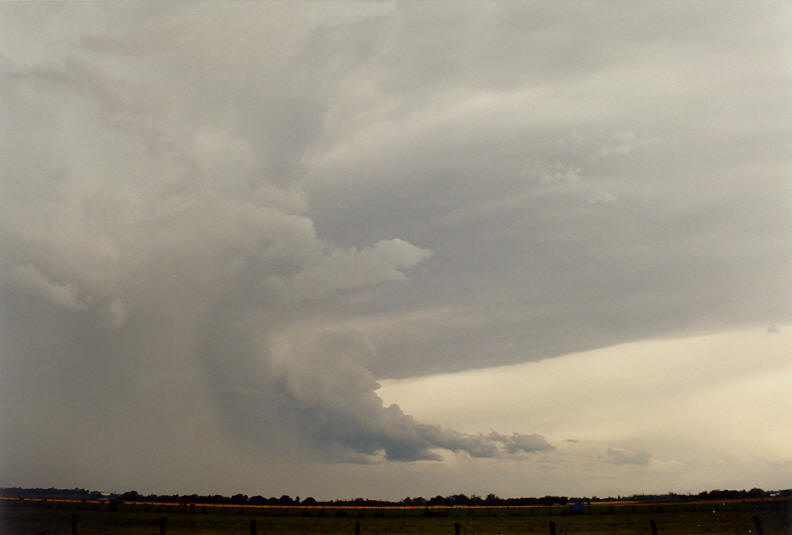 anvil thunderstorm_anvils : N of Casino, NSW   26 October 2003