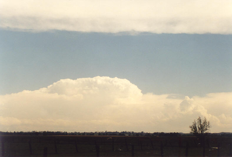 cumulonimbus supercell_thunderstorm : N of Casino, NSW   26 October 2003