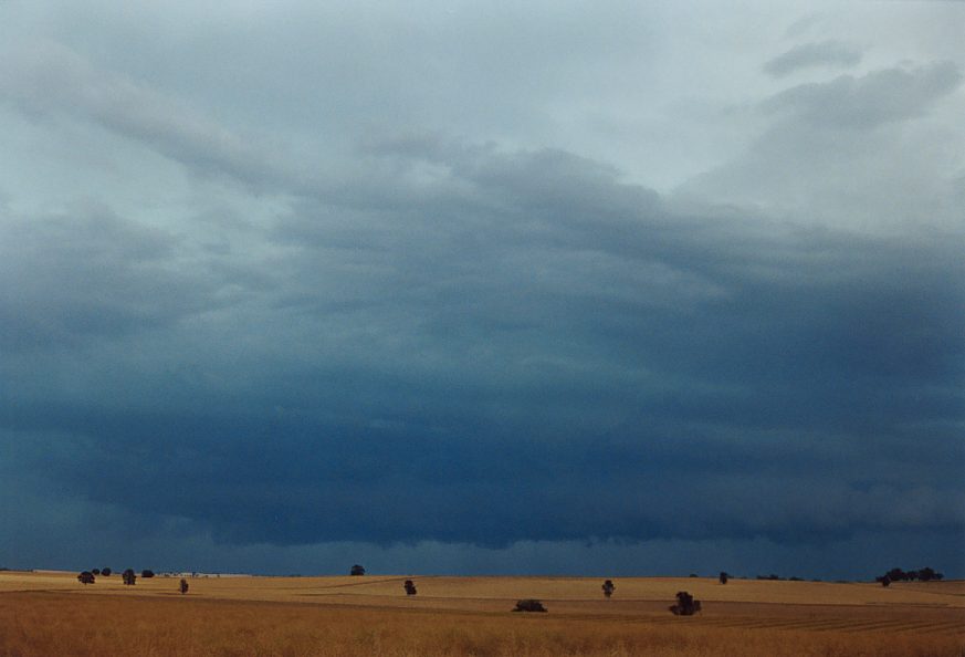 cumulonimbus supercell_thunderstorm : Temora, NSW   21 November 2003