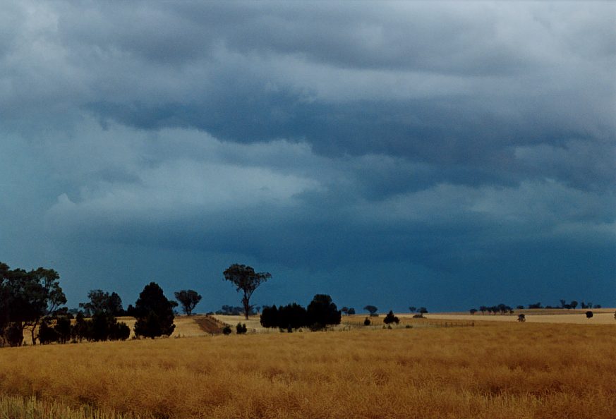 cumulonimbus supercell_thunderstorm : Temora, NSW   21 November 2003