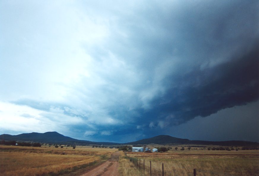 shelfcloud shelf_cloud : E of Mullaley, NSW   22 November 2003