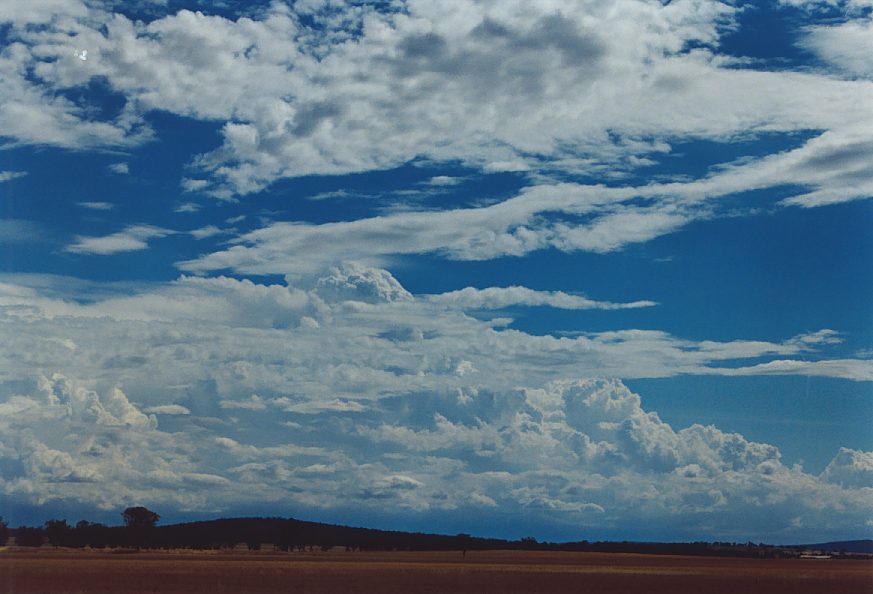 altocumulus altocumulus_cloud : N of Narrandera, NSW   1 December 2003