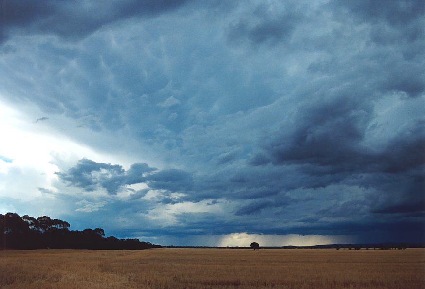 mammatus mammatus_cloud : N of Griffith, NSW   1 December 2003