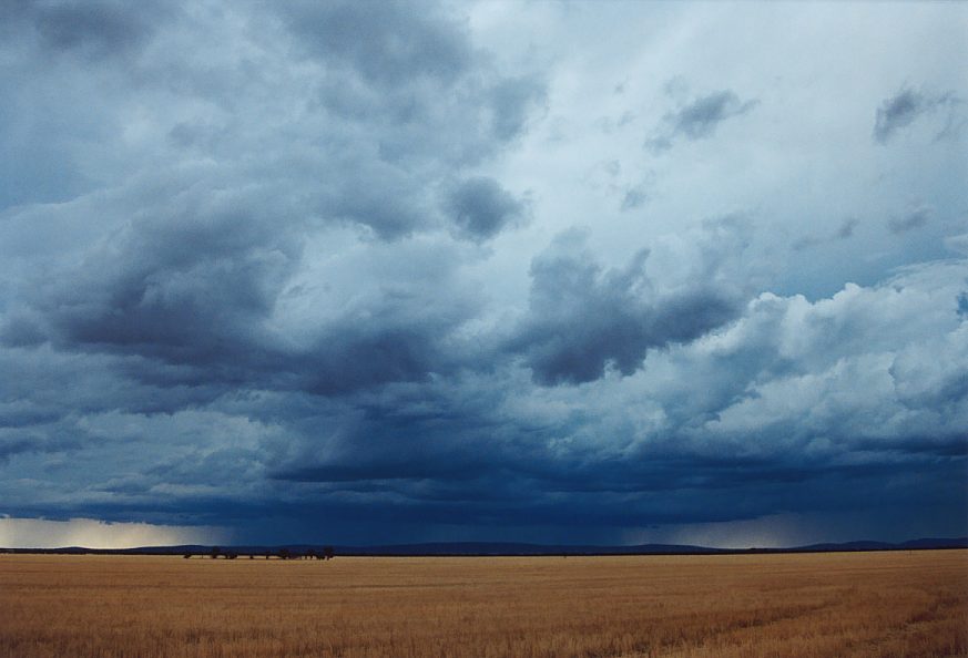 raincascade precipitation_cascade : N of Griffith, NSW   1 December 2003