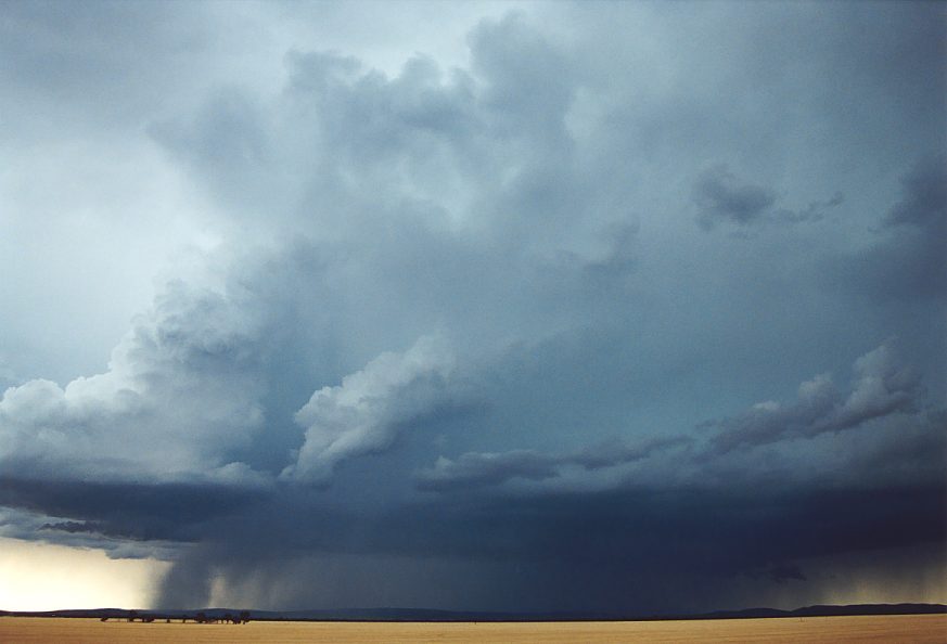 raincascade precipitation_cascade : N of Griffith, NSW   1 December 2003