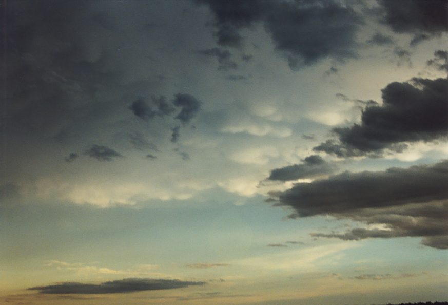 cumulus humilis : south Griffith, NSW   1 December 2003