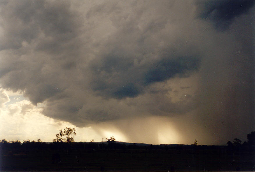 raincascade precipitation_cascade : Coraki, NSW   24 January 2004