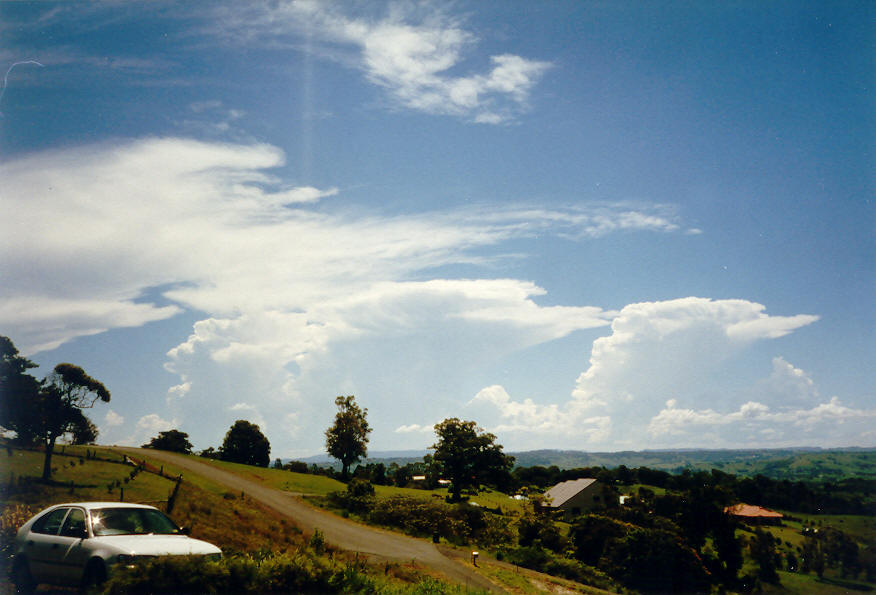 thunderstorm cumulonimbus_calvus : McLeans Ridges, NSW   26 January 2004