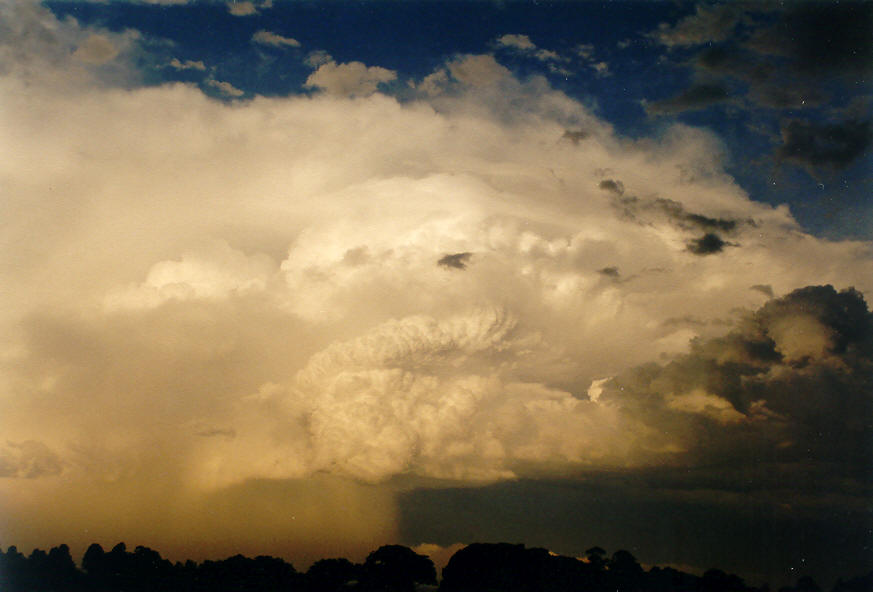 raincascade precipitation_cascade : McLeans Ridges, NSW   28 January 2004