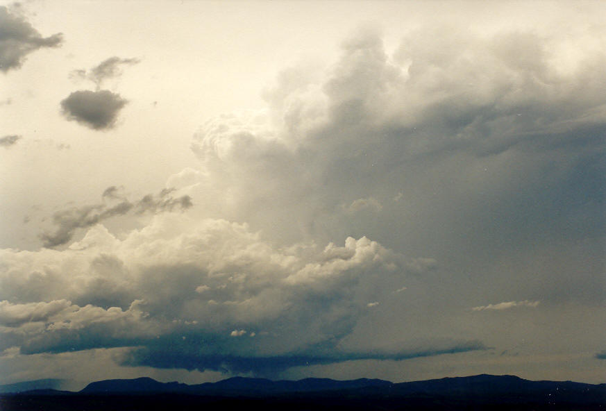 updraft thunderstorm_updrafts : McLeans Ridges, NSW   30 January 2004