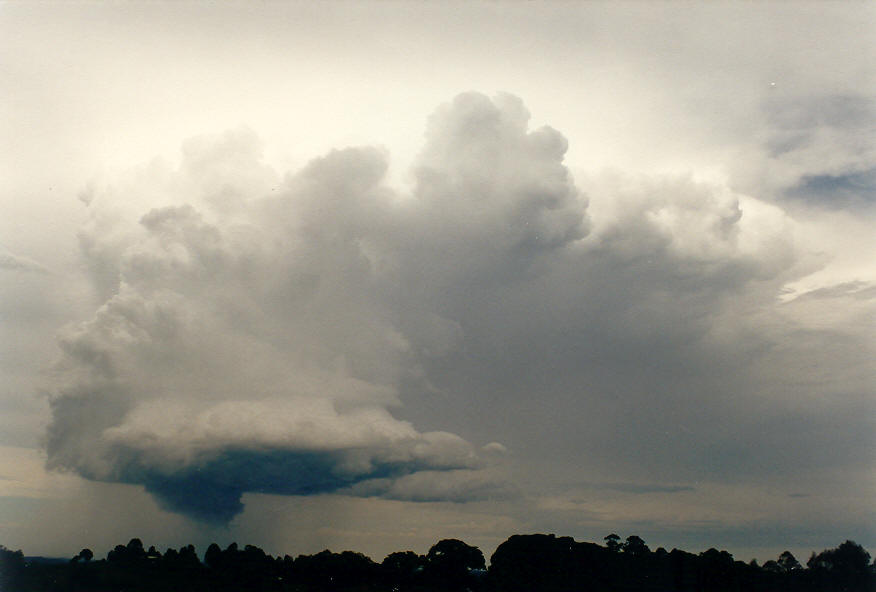 updraft thunderstorm_updrafts : McLeans Ridges, NSW   30 January 2004