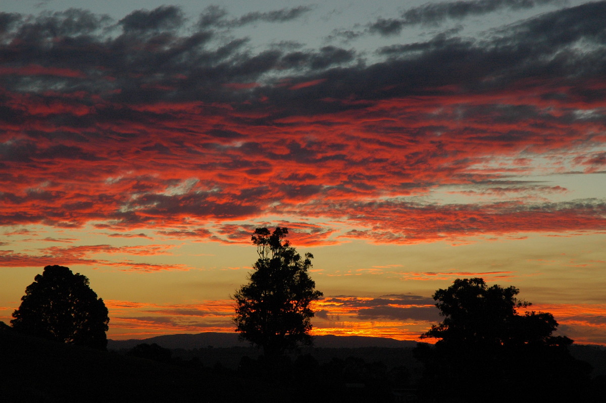 altocumulus altocumulus_cloud : McLeans Ridges, NSW   13 July 2004