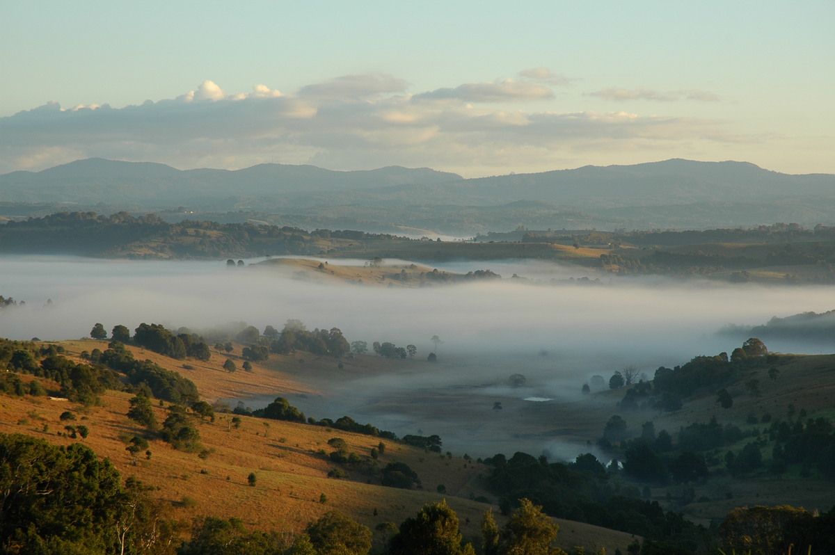 fogmist fog_mist_frost : McLeans Ridges, NSW   14 July 2004