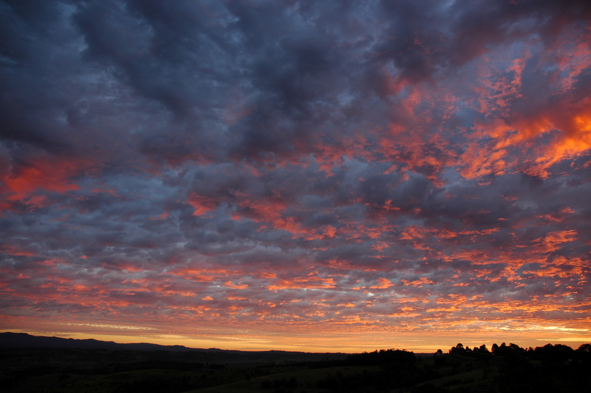 altocumulus mackerel_sky : McLeans Ridges, NSW   26 July 2004