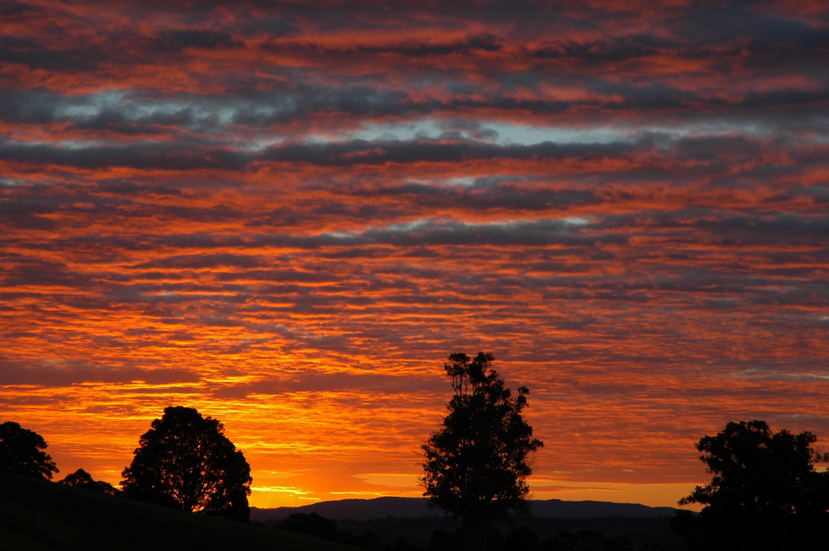 altocumulus altocumulus_cloud : McLeans Ridges, NSW   15 August 2004