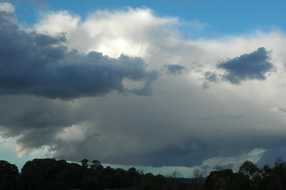 cumulus congestus : McLeans Ridges, NSW   18 August 2004