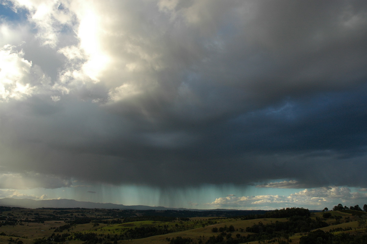 cumulus congestus : McLeans Ridges, NSW   18 August 2004