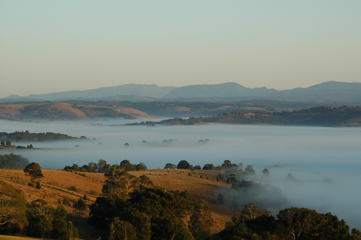 fogmist fog_mist_frost : McLeans Ridges, NSW   28 August 2004