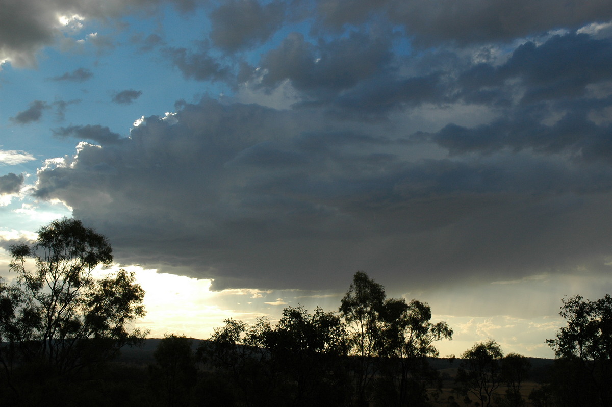 cumulus congestus : Grandchester, QLD   28 August 2004