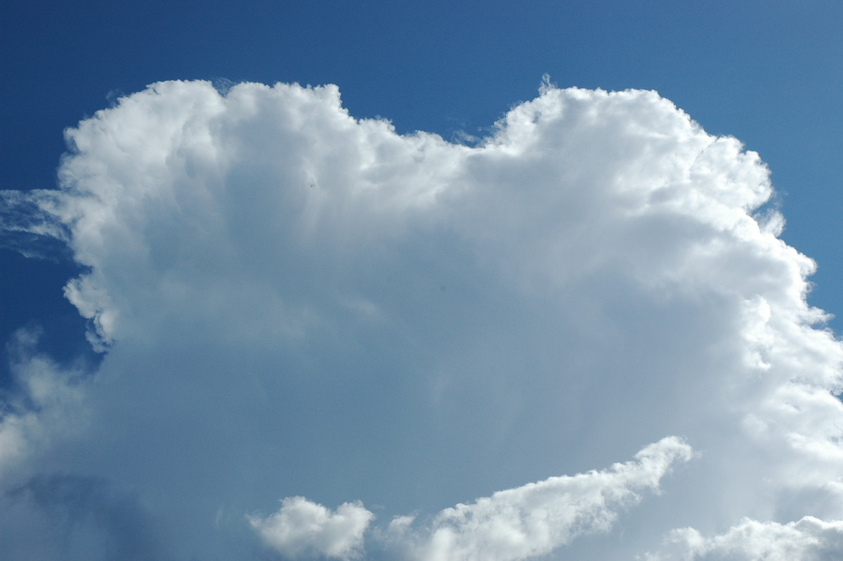 updraft thunderstorm_updrafts : McLeans Ridges, NSW   4 September 2004