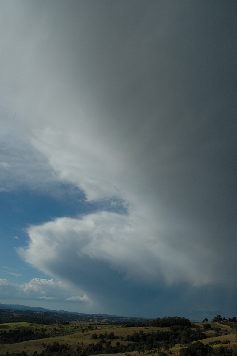 anvil thunderstorm_anvils : McLeans Ridges, NSW   5 September 2004