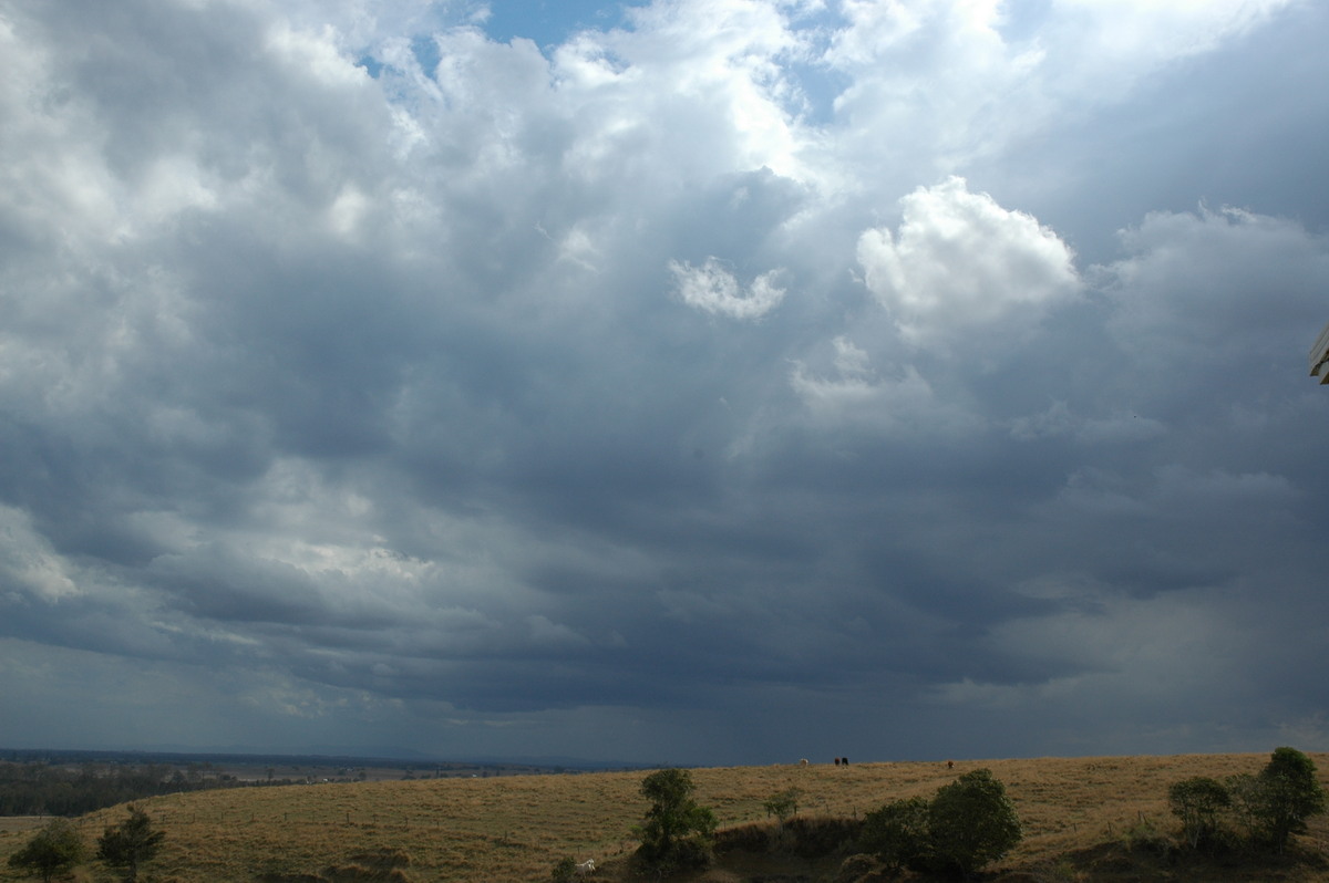 raincascade precipitation_cascade : Parrots Nest, NSW   20 September 2004