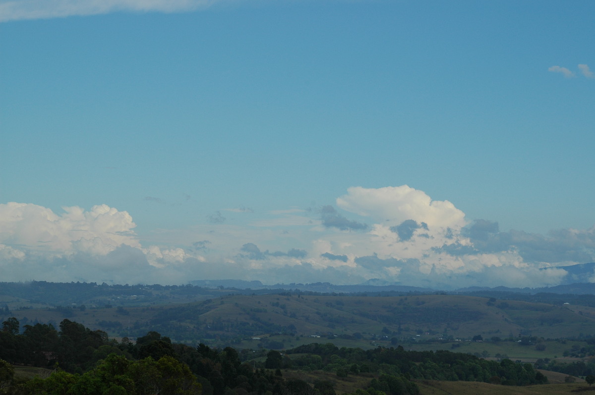 cumulus congestus : McLeans Ridges, NSW   21 October 2004