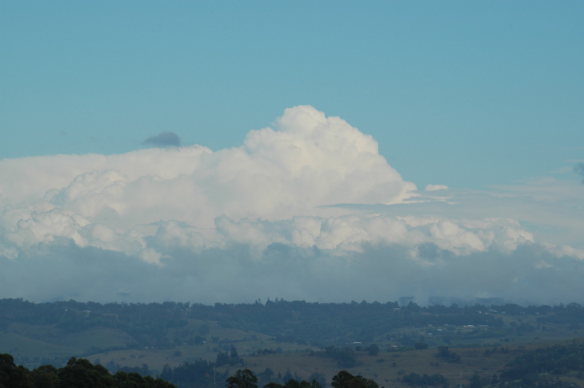 thunderstorm cumulonimbus_calvus : McLeans Ridges, NSW   21 October 2004