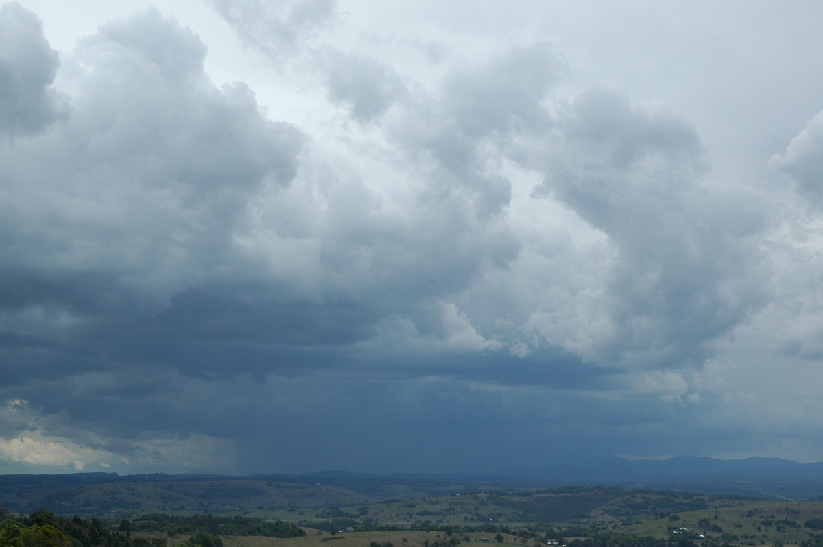 cumulus congestus : McLeans Ridges, NSW   21 October 2004