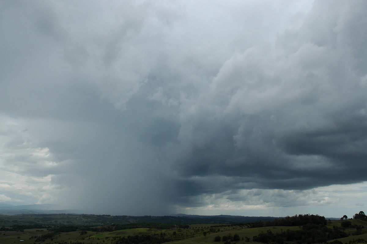 raincascade precipitation_cascade : McLeans Ridges, NSW   21 October 2004