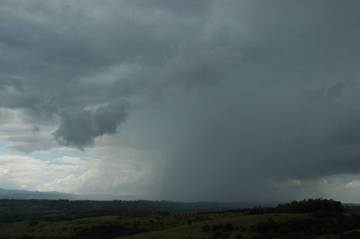 raincascade precipitation_cascade : McLeans Ridges, NSW   21 October 2004