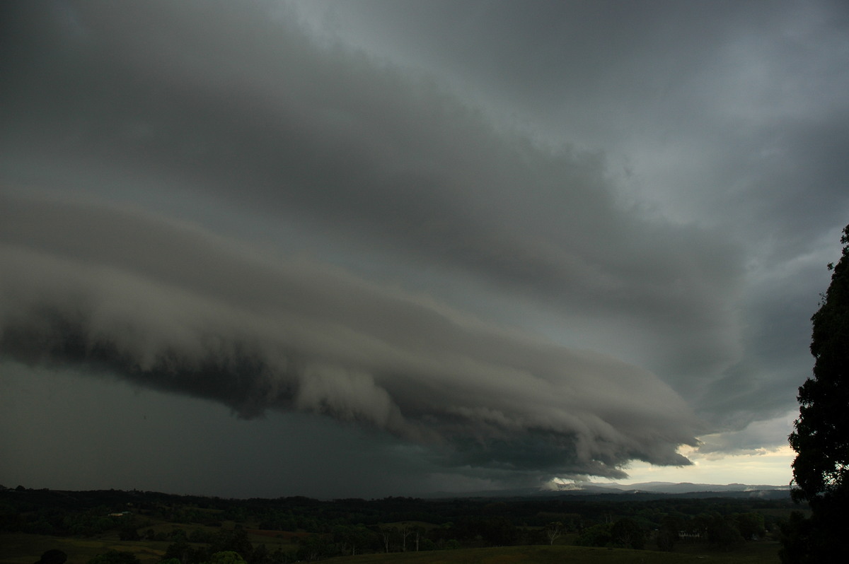 shelfcloud shelf_cloud : Wollongbar, NSW   21 October 2004