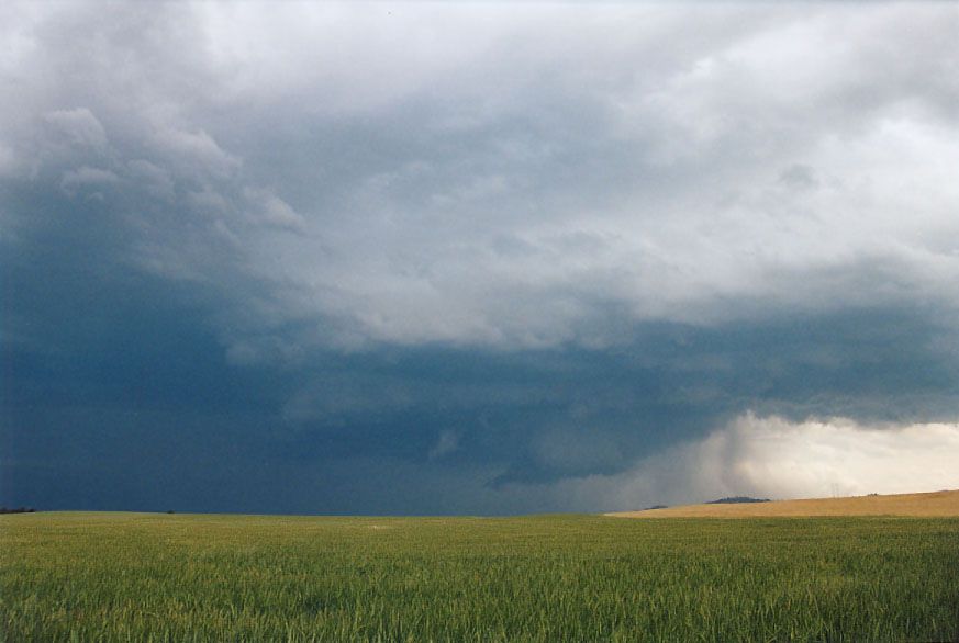 cumulonimbus thunderstorm_base : Gulgong, NSW   24 October 2004