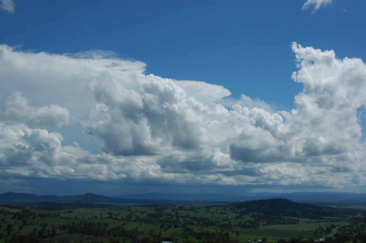 cumulus congestus : Mallanganee NSW   9 November 2004