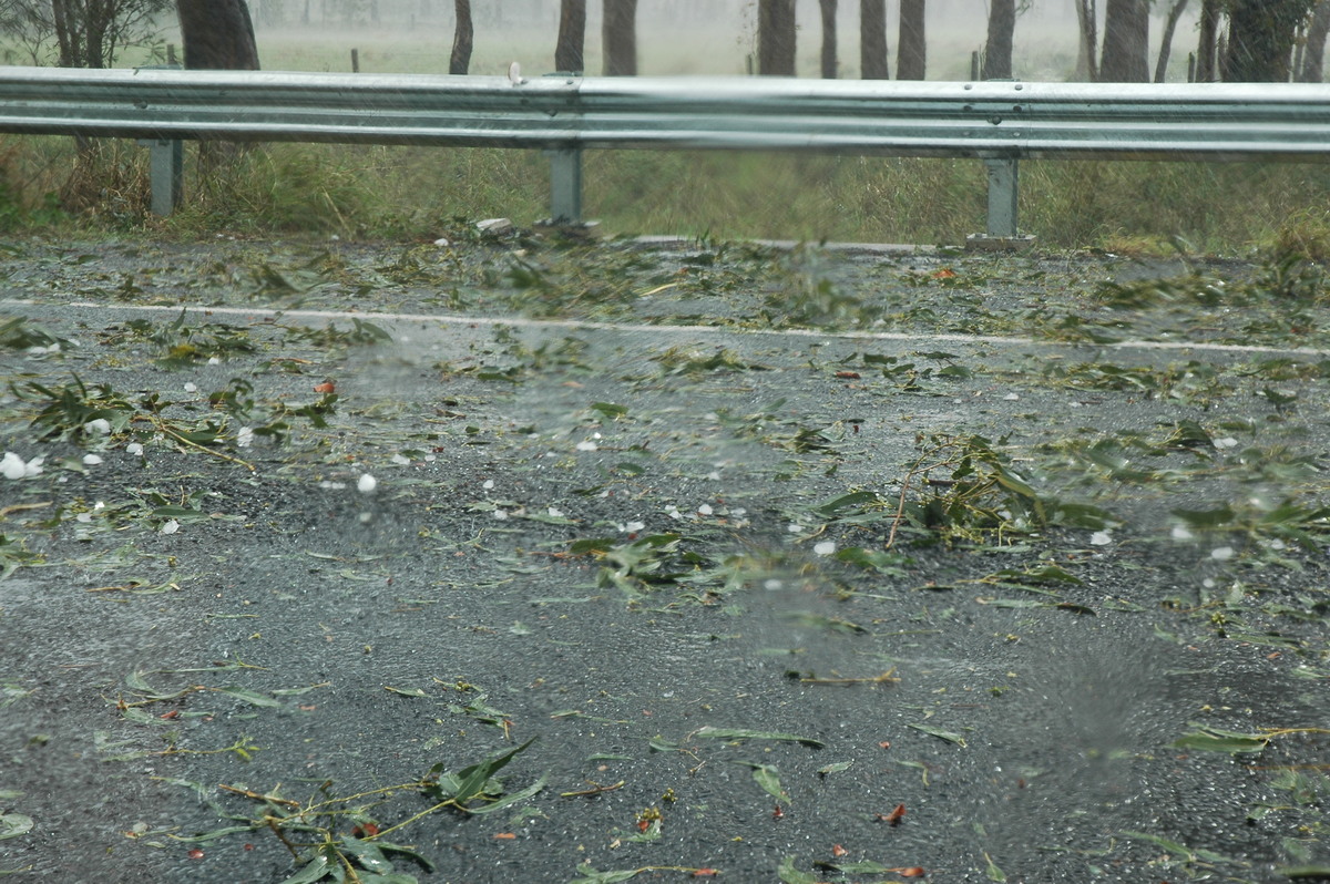 disasters storm_damage : Leeville, NSW   9 November 2004