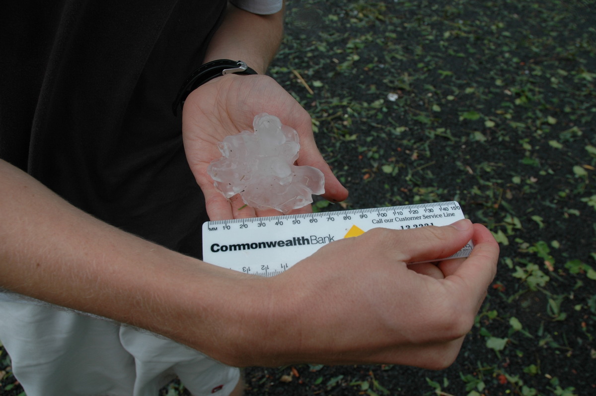 hailstones hail_stones : Leeville, NSW   9 November 2004