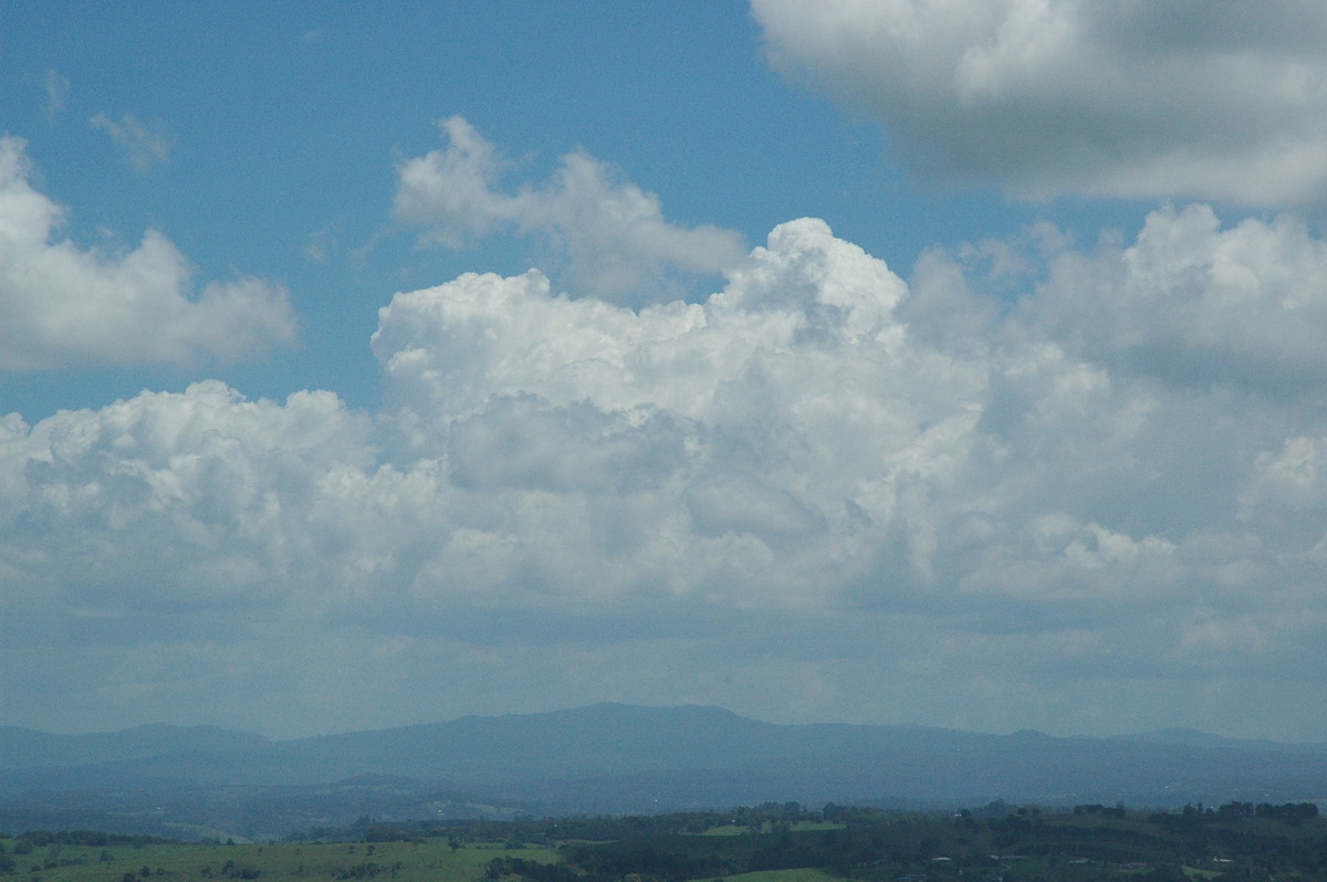 cumulus congestus : McLeans Ridges, NSW   16 November 2004