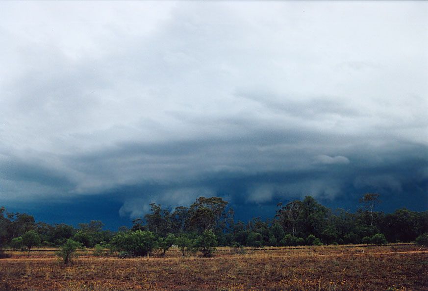 shelfcloud shelf_cloud : 20km W of Nyngan, NSW   7 December 2004